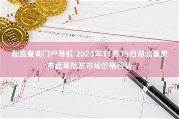 配资查询门户导航 2025年11月15日湖北襄樊市蔬菜批发市场价格行情