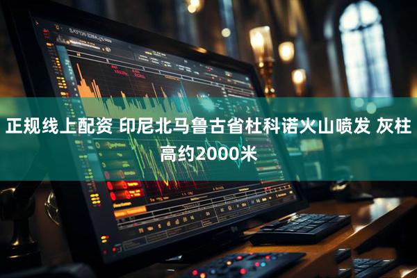 正规线上配资 印尼北马鲁古省杜科诺火山喷发 灰柱高约2000米